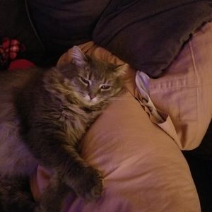 Meet your Posher, Patti